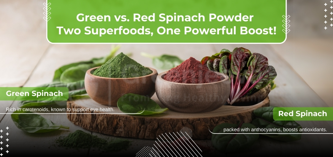 Organic Spinach Powder is a Must for Your Products